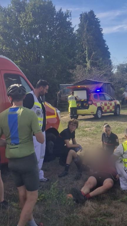 Une quarantaine de cyclistes ont été attaqués par des frelons. (franceinfo)