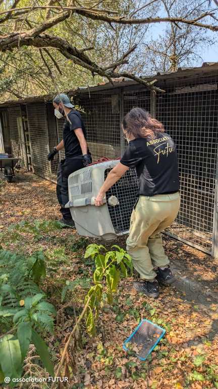 L'association FUTUR vient en aide aux animaux en Gironde (association FUTUR)