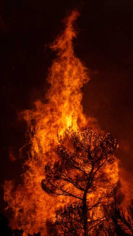 This photograph shows wildfire flames burning trees and vegetation in the area of Porto Germeno, some 70 kilometres (45 miles) northwest of Athens in the region of Viotia, on August 1, 2026. Hundreds of firefighters in Greece battle to save a popular coastal resort northwest of Athens as violent winds continued to lash the country, hampering operations. Hit hard by the climate crisis like the rest of the Mediterranean region, the country is plagued by wildfires every summer due to high temperatures, frequent heat waves, and drought (Photo by Angelos TZORTZINIS / AFP) (ANGELOS TZORTZINIS / AFP)
