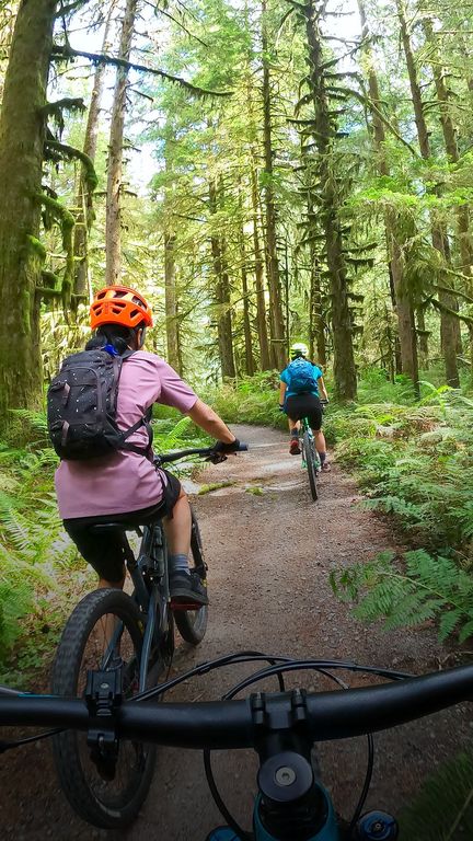 Fils de fer, barbelés... Des chemins piégés contre les VTT (france info)