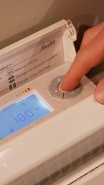 Le prix de l'électricité peut-il rester stable ? (France 2)