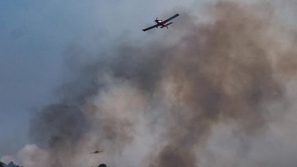 Le mécanisme de protection civile de l'Union européenne  dispose de 23 avions et hélicoptères bombardiers d'eau stationnés dans plusieurs pays européens (photo d'illustration, le 28 juillet 2026). (Olivier Corsan / MAXPPP)