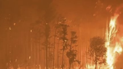 Forêts en feu aux États-Unis : des évacuations massives en Géorgie, touchée par une sécheresse extrême