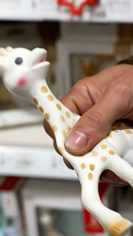 Sophie la girafe : née en France, fabriquée en Chine (France 2)