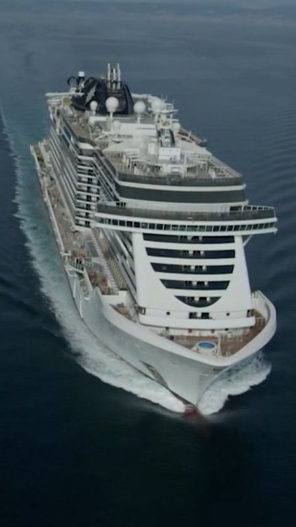 Croisières : pourquoi les virus se propagent-ils autant ? (France 2)