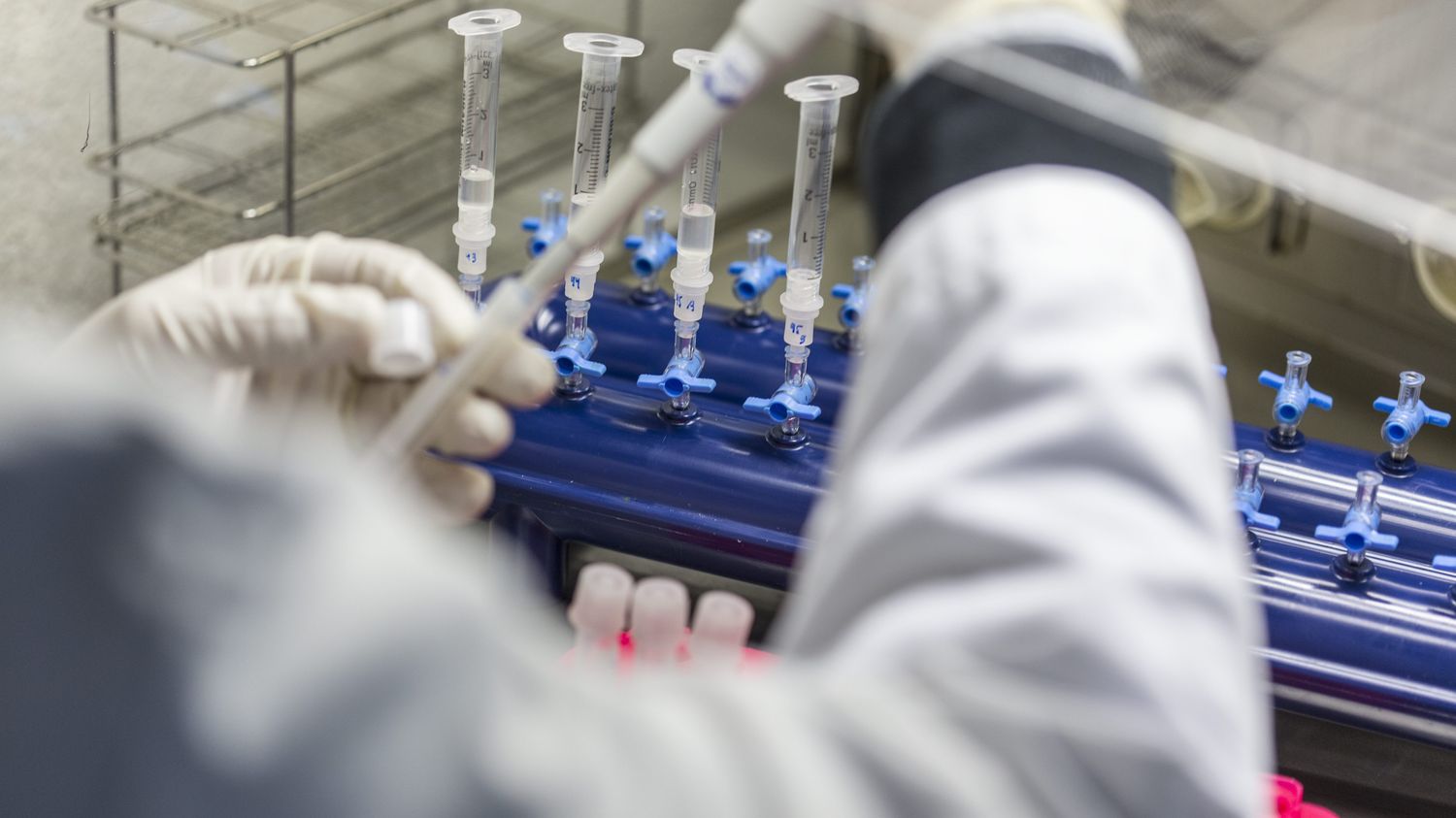 "Restons calme, la peste, c'est traitable", tempère la directrice générale de l'Institut Pasteur à propos des soupçons de peste en Russie