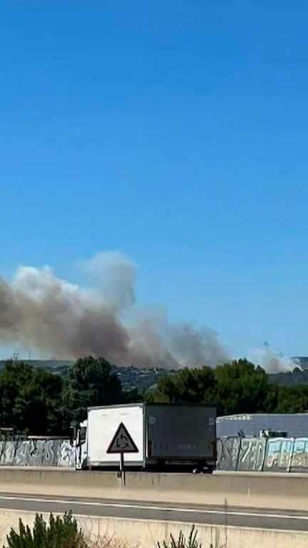 Gard : les flammes stoppées au pied des habitations (France 2)