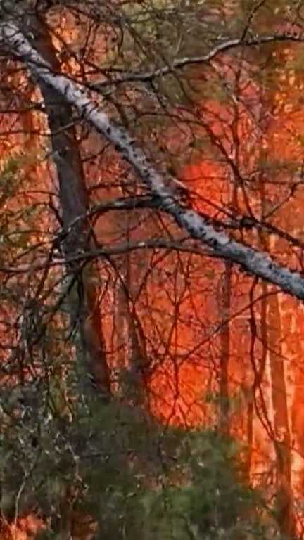 Incendie dans le Var : une soirée à haut risque (France 2)
